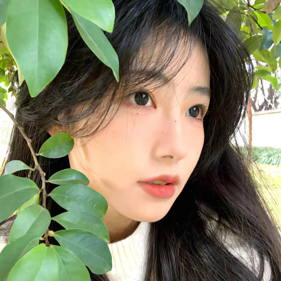 天国王朝